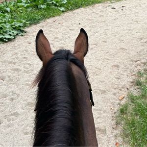 Meet your Posher, Buy my closet